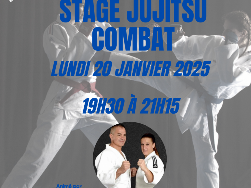 Image de l'actu 'Stage Ju Jitsu 20 janvier  et kata 21 janvier 2025'