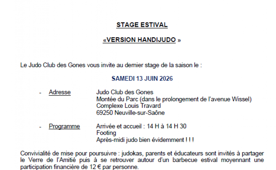 Stage Handi judo  au JC des Gones de Neuville